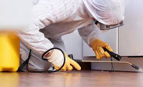 Best Residential Pest Control  in Hudson Lake, IN